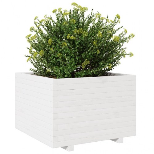 Plantekasse i massivt fyrretræ 70 x 70 x 49,5 cm - hvid