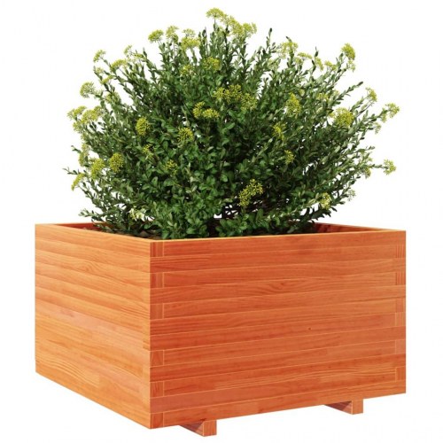 Plantekasse i massivt fyrretræ 80 x 80 x 49,5 cm - gyldenbrun