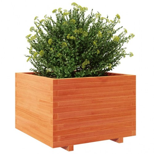 Plantekasse i massivt fyrretræ - gyldenbrun 70 x 70 x 49,5 cm