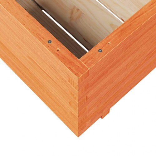 Plantekasse i massivt fyrretræ - gyldenbrun 70 x 70 x 49,5 cm