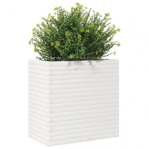 Plantekasse i massivt fyrretræ - hvid, 70 x 40 x 68,5 cm