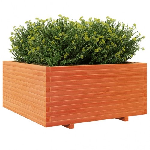 Plantekasse i massivt fyrretræ 100 x 100 x 49,5 cm - gyldenbrun