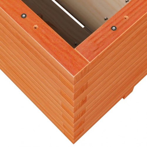 Plantekasse i massivt fyrretræ 100 x 100 x 49,5 cm - gyldenbrun