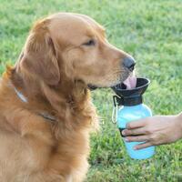 Vand Dispenser Flaske til Hunde InnovaGoods
