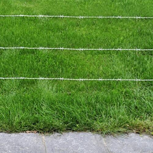 Pigtrådshegn barbed wire