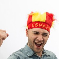 Festartikler