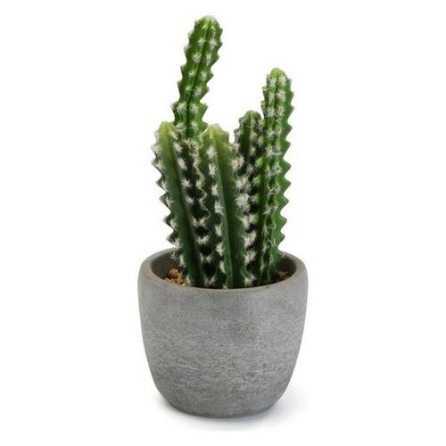 Dekorativ plante Versa Plastik (14 x 33 x 14 cm)