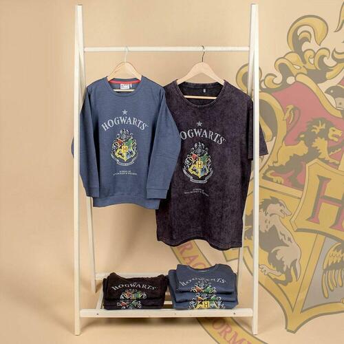 Langærmet T-shirt til Børn Harry Potter Grå Mørkegrå 14 år