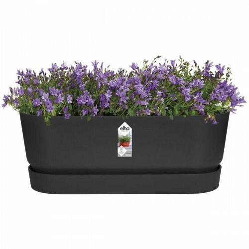 Elho Greenville Oval plantekasse - sort 50 cm