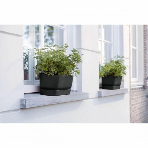 Elho Greenville Oval plantekasse - sort 50 cm