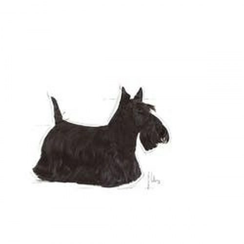 Royal Canin Mini Dermacomfort voksen hundefoder - Kylling/Oksekød, 3 kg