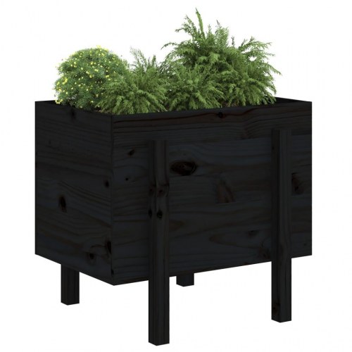 Plantekasse i massivt fyrretræ - sort, 62 x 50 x 57 cm