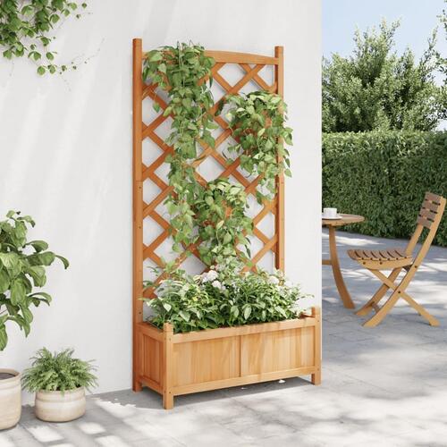 Plantekasse med espalier massivt grantræ brun