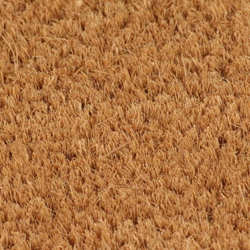 Dørmåtte 65×100 cm - tuftet coir i naturfarve med PVC-bagside