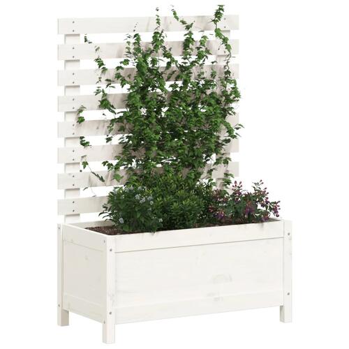 Plantekasse med stativ 79x39,5x114 cm massivt fyrretræ hvid