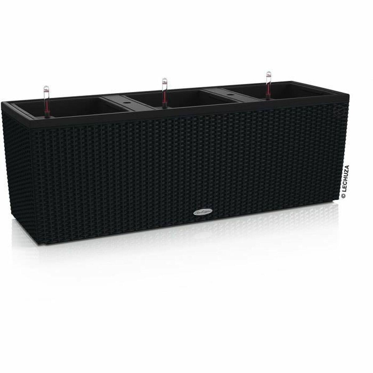 Selvvandende pot Lechuza Sort 100 x 32,5 x 34,5 cm Rektangulær