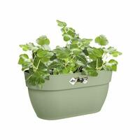 Plantekasse