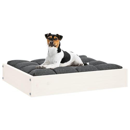Hundeseng 51,5x44x9 cm massivt fyrretræ hvid
