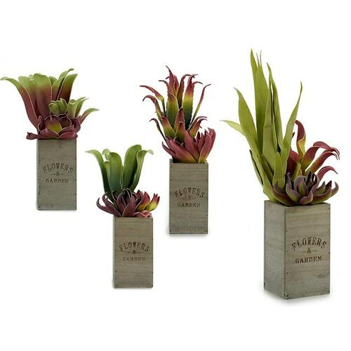Dekorativ plante Flowers Garden Brun Grøn 10 x 50 x 10 cm (4 enheder)