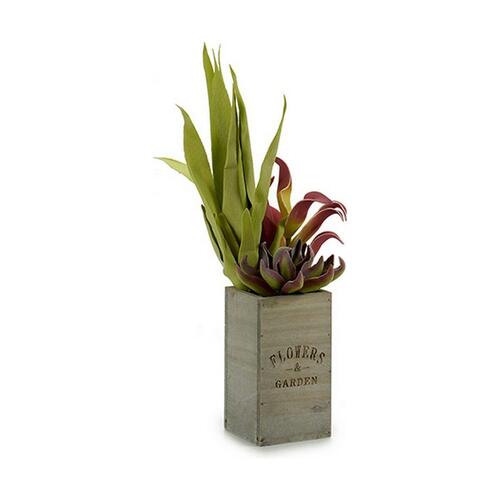 Dekorativ plante Flowers Garden Brun Grøn 10 x 50 x 10 cm (4 enheder)