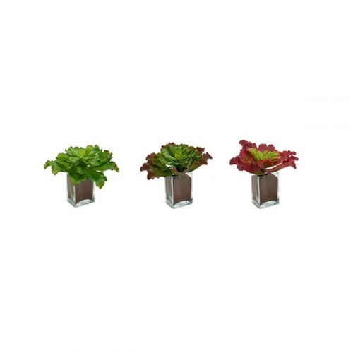 Kunstig plante Ibergarden - to-farvet, stor 31 × 24 × 31 cm (6 stk)