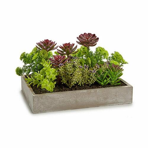 Dekorativ plante Sukkulent Plastik Cement 16,5 x 20 x 28,5 cm (6 enheder)