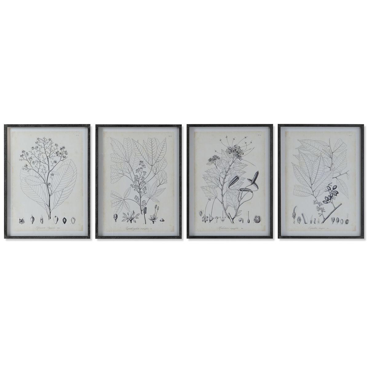 Malerier - moderne botaniske planter, 45 × 2,5 × 60 cm (sæt af 4)