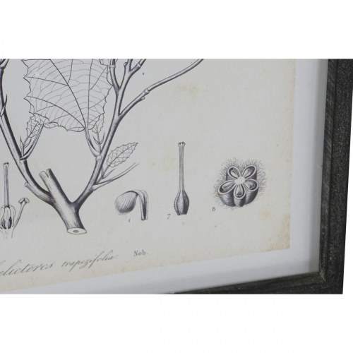Malerier - moderne botaniske planter, 45 × 2,5 × 60 cm (sæt af 4)