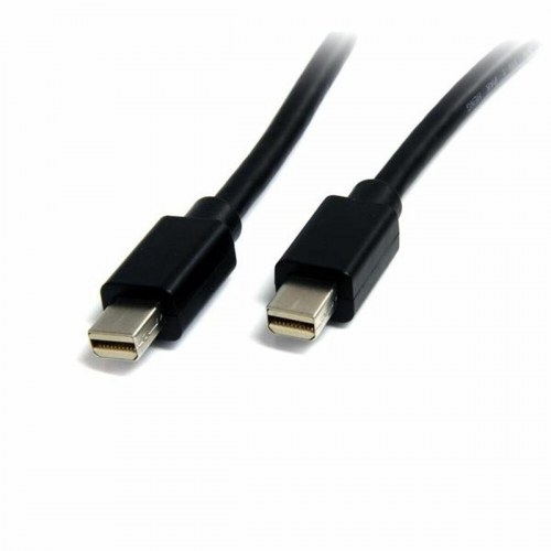 DisplayPort-kabel Mini DisplayPort Startech - 2 m, 4K, sort