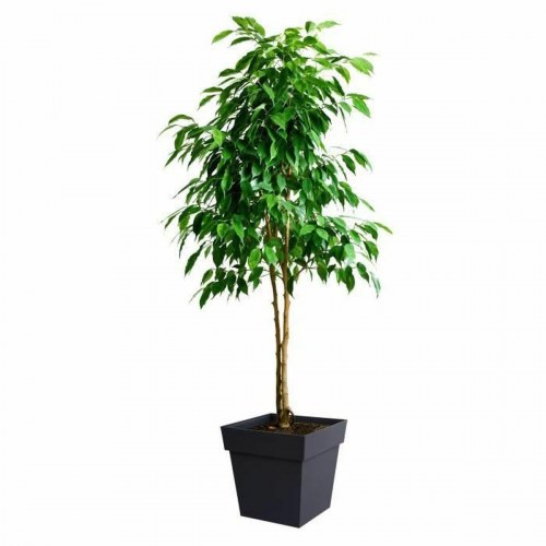Krukke EDA grå polypropylen 39 cm - firkantet 38 l