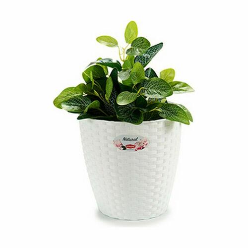 Urtepotte Stefanplast Hvid Plastik 24 x 22,5 x 24 cm (6 enheder)