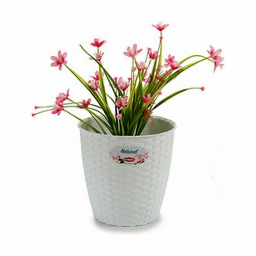 Stefanplast urtepotte - hvid plastik 19 × 17,5 × 19 cm (12 stk.)