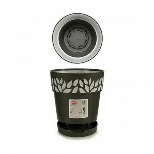 Stefanplast Cloe selvvandende krukke - antracit, 15 × 15 × 15 cm (12 stk.)