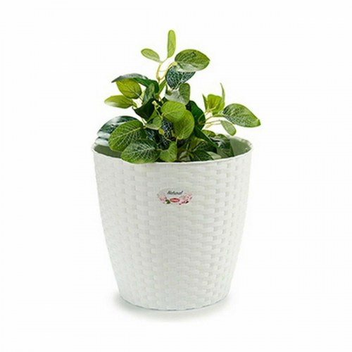 Stefanplast urtepotte - hvid plastik, 29 × 27 × 29 cm (6 stk.)