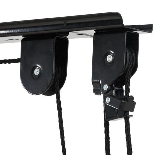 Cykelhejs med loftmontering 2 stk. 20 kg