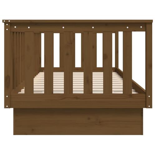 Daybed 100x200 cm massivt fyrretræ gyldenbrun