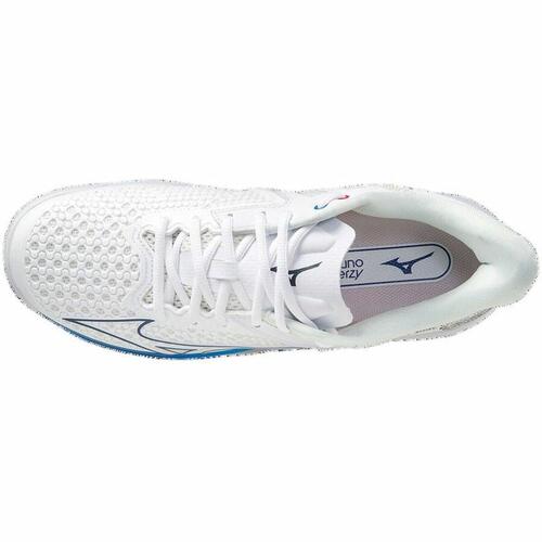 Tennissko til mænd Mizuno Wave Exceed Tour 5 CC Hvid 45