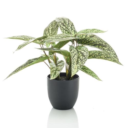 Emerald kunstig calathea i potte Dots 38 cm