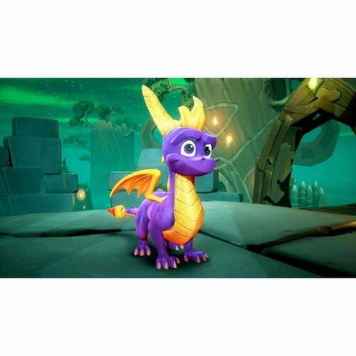 Videospil til Switch Activision