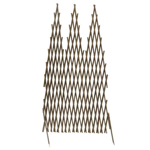 Espalierhegn 5 stk. 170x75 cm pil