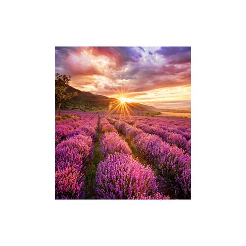 Skærm Videowall Samsung LH025IFHBAS/EN LED 50-60 Hz