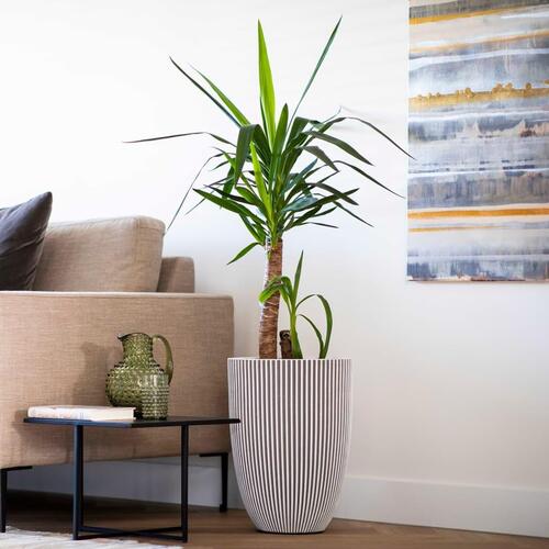 Capi elegant krukke Groove 34x46 cm elfenbensfarvet