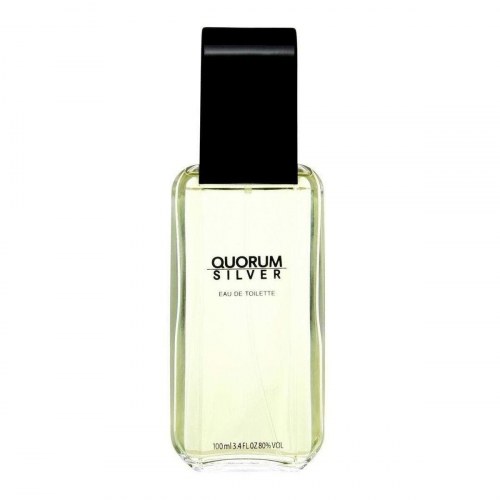 Herreparfume Antonio Puig EDT Silver Quorum 100 ml