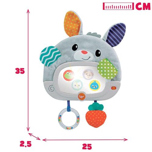 Baby legetøj Winfun Kanin 25 x 35 x 2,5 cm (4 enheder)