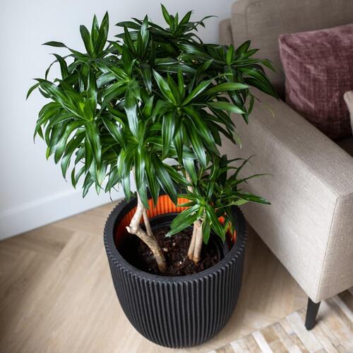 Capi krukke Groove 35x34 cm sort