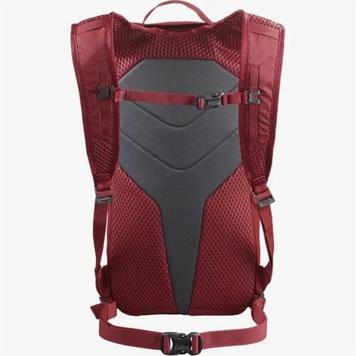 Sportstaske Salomon LC2059500 Rød Intens Rød Onesize 10 L