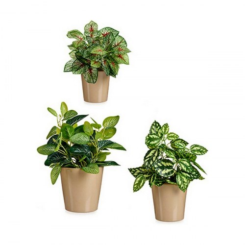 Ibergarden grydesæt i beige ler - 6 krukker (16,5/14/11,3 cm)