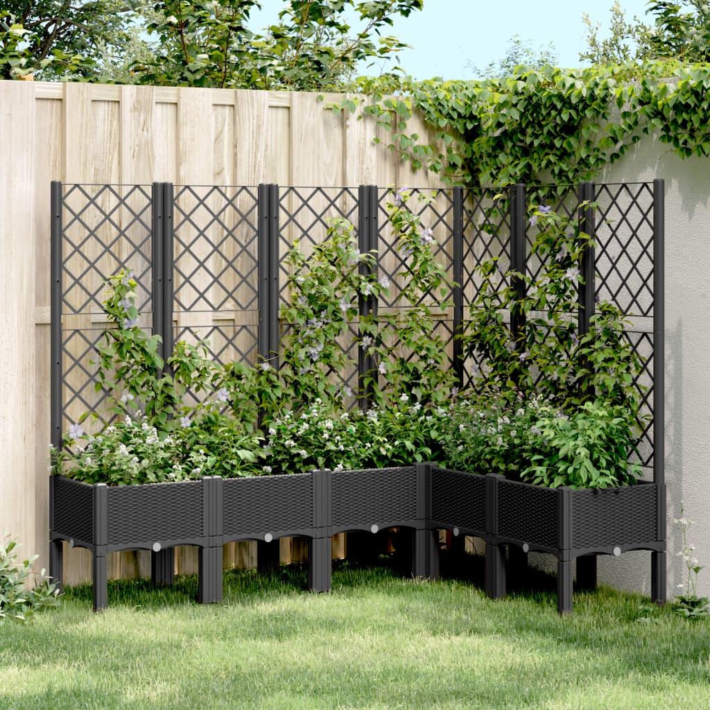 Plantekasse Med Espalier Pp - Sort / 160 x 120 x 142 cm