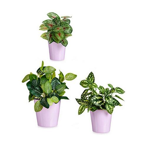 plantekrukker Syren Ler (6 enheder)