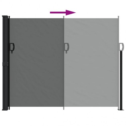 Udtrækkelig sidemarkise antracit 160x300 cm